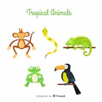 Free vector collection of flat tropical animal