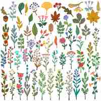 Free vector collection of flower ilustrations