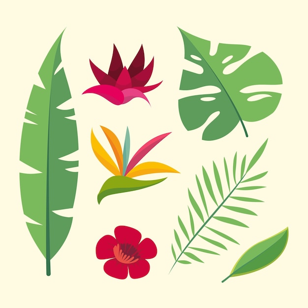 Free vector collection of flower and leaf concept