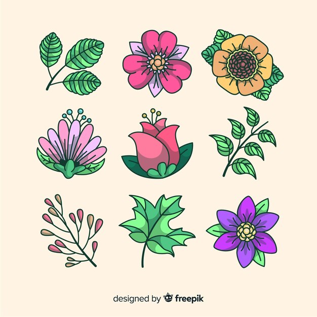 Collection of flowers and leaves background