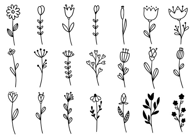 プレミアムベクター ユーカリの枝手描きの植物イラスト