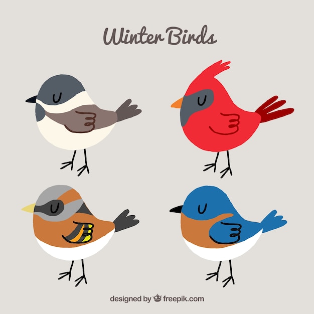 Free vector collection of four hand-drawn birds