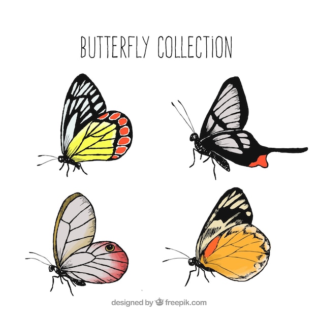 Free vector collection of four pretty butterflies