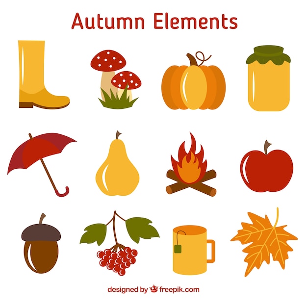 Collection of fruit and autumnal element