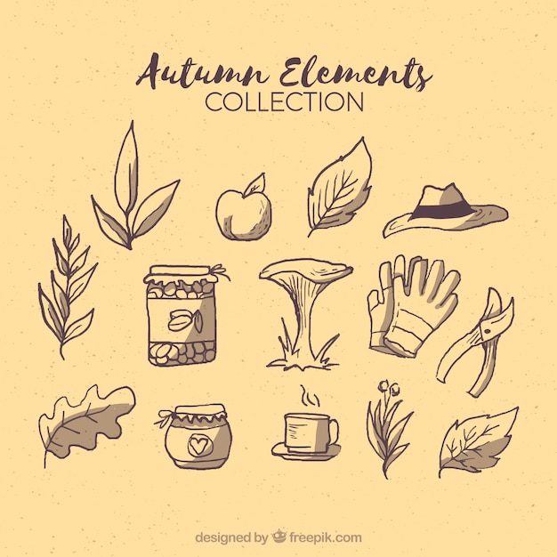 Free vector collection of garden tools and hand drawn plants