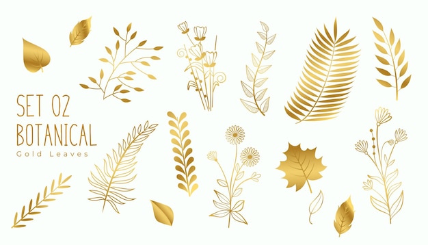 Collection of golden premium leaves elements