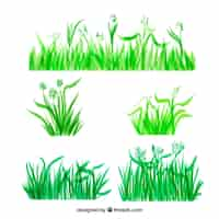 Free vector collection of green grass borders