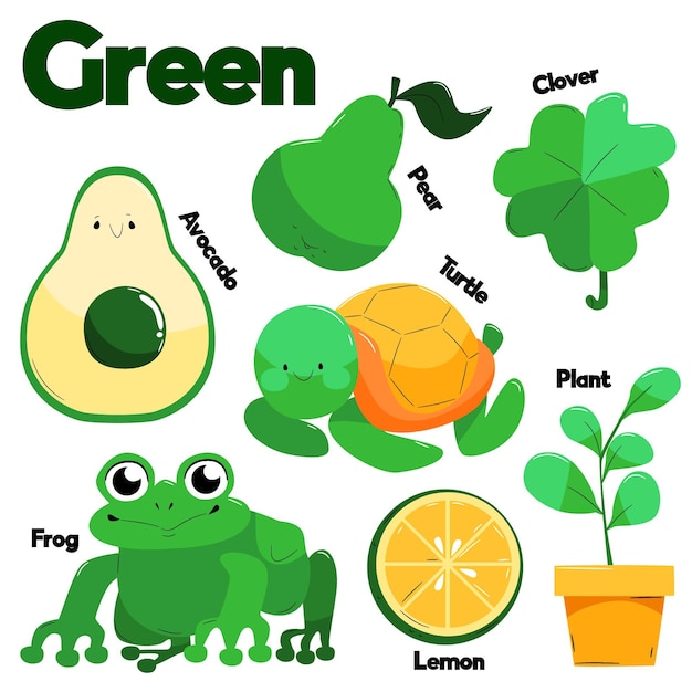 Collection of green objects and vocabulary words in english