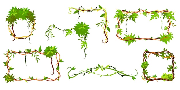 Free vector collection of green tropical frame. cartoon frame shaped lianas, jungle plant branches with leaves