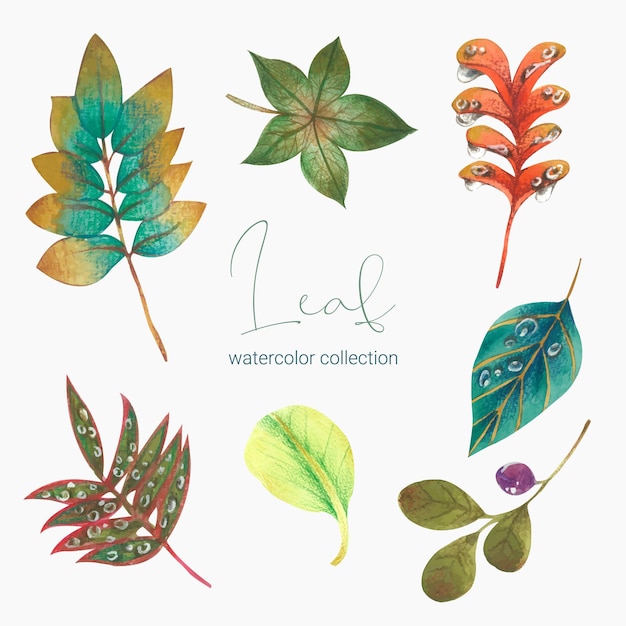 Free vector collection of greenery leaf plant forest herbs tropical leaves