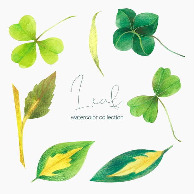 Free vector collection of greenery leaf plant forest herbs tropical leaves