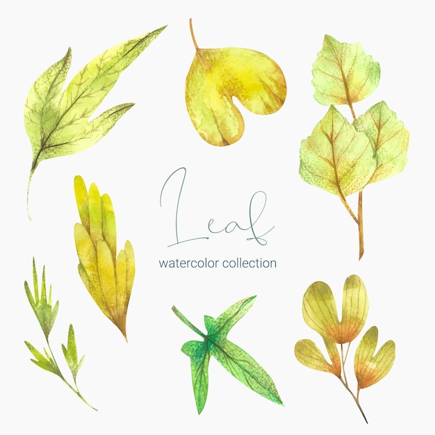Free vector collection of greenery leaf plant forest herbs tropical leaves