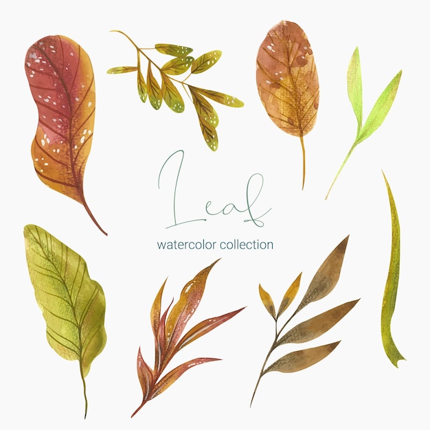 Free vector collection of greenery leaf plant forest herbs tropical leaves