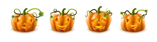 collection of Halloween pumpkins Isolated on white