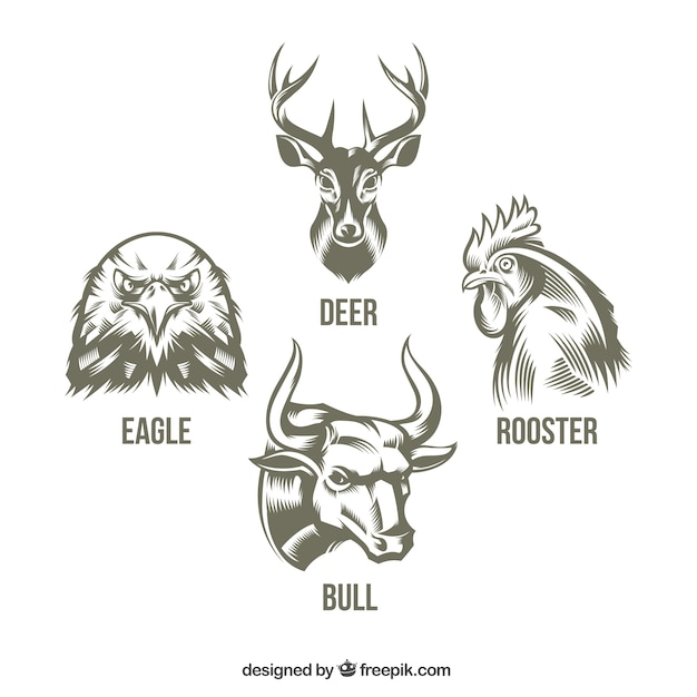 Free vector collection of hand drawn animals