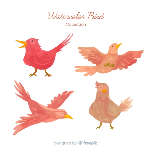 Free vector collection of hand drawn autumn birds