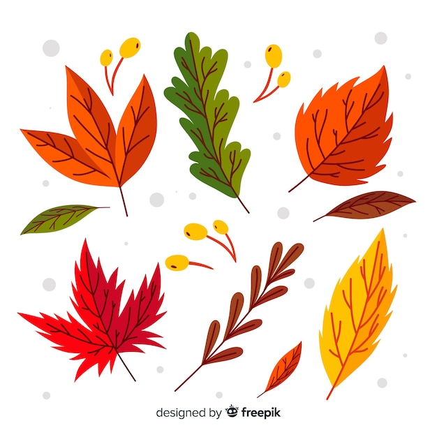 Collection of hand drawn autumn leaves