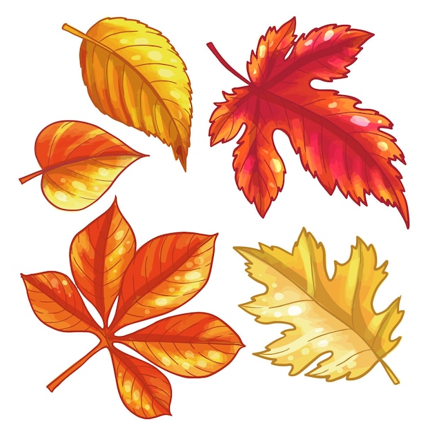 Free vector collection of hand drawn autumn leaves