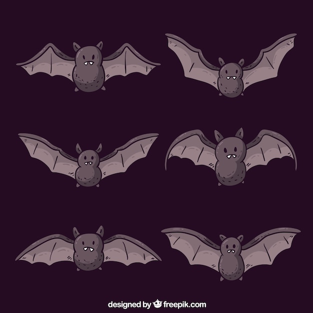 Collection of hand drawn bat