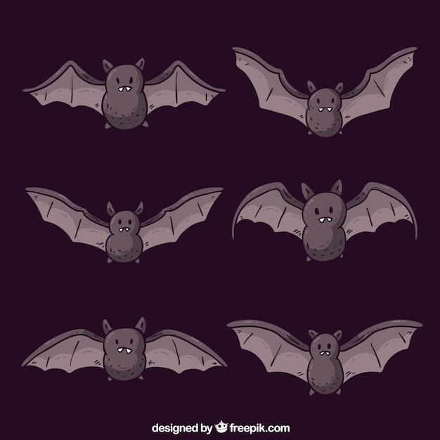 Free Vector collection of hand drawn bat