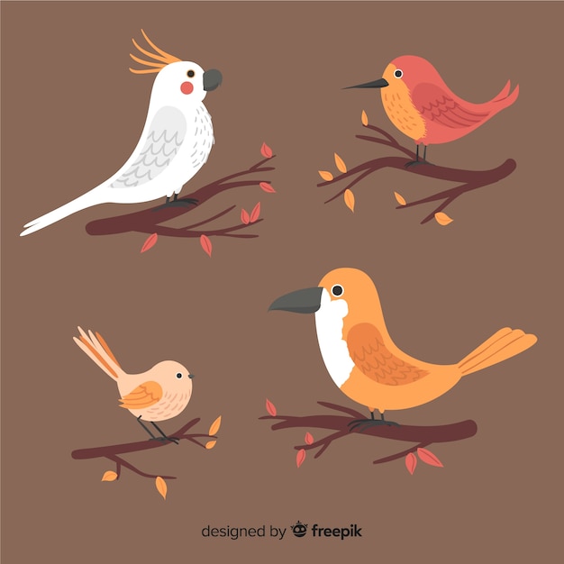 Free vector collection of hand drawn birds