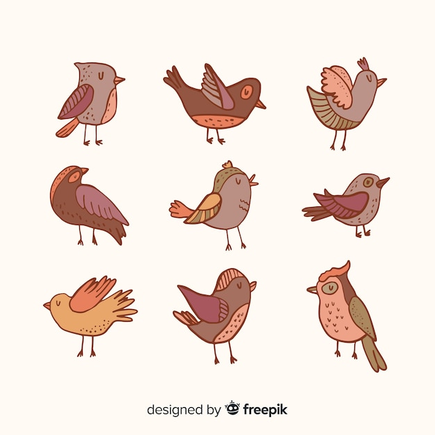 Free vector collection of hand drawn birds