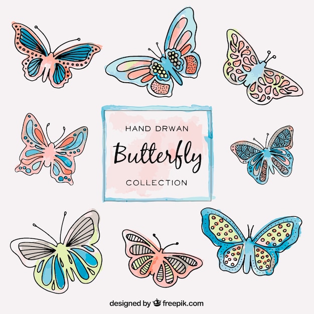 Collection of  hand drawn butterflies flying