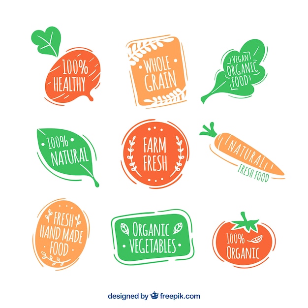 Collection of hand-drawn eco food stickers