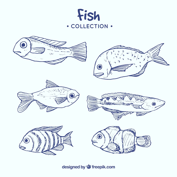 Free Vector collection of hand drawn fish