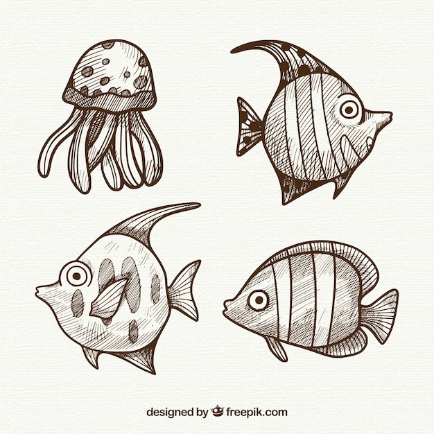 Free Vector collection of hand drawn fish