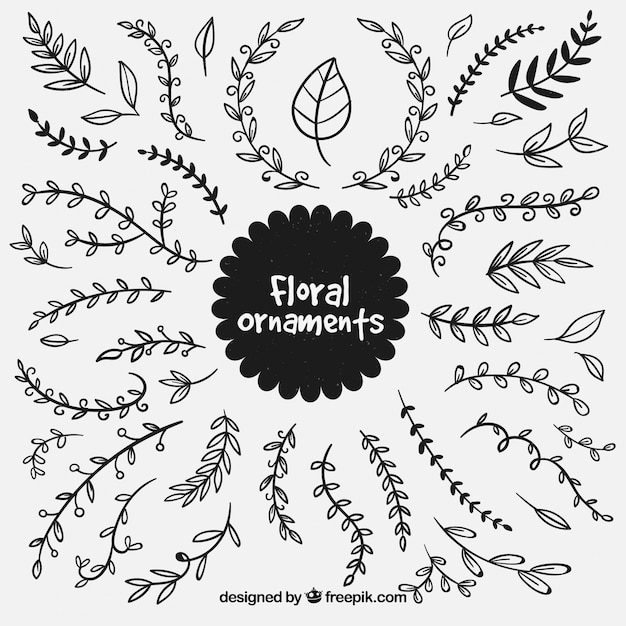 Free vector collection of hand-drawn floral ornament