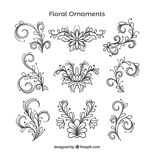 Vettore gratuito raccolta di ornamento floreale disegnato a mano