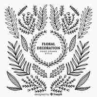 Free vector collection of hand drawn floral ornaments