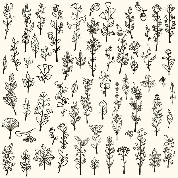 Коллекция handdrawn вектор каракули травы и цветы