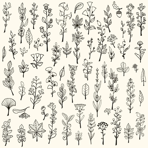 Collection of hand drawn flowers