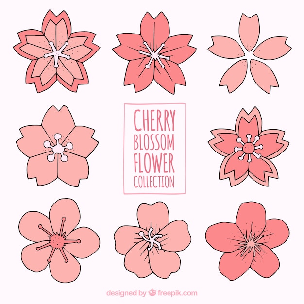 Free vector collection of hand-drawn flowers