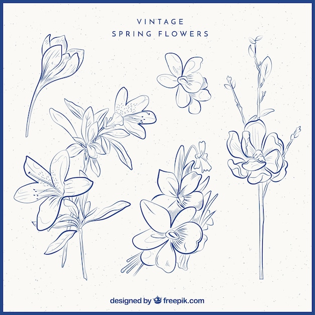 Free vector collection of hand-drawn flowers