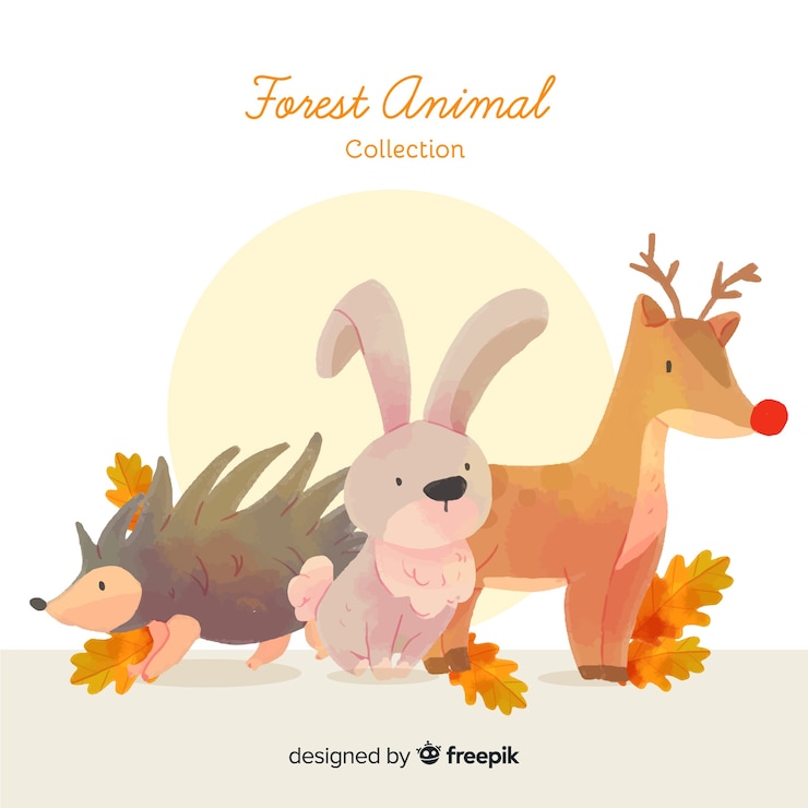 Free Vector collection of hand drawn forest animals