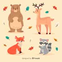 Vettore gratuito collezione di animali della foresta disegnati a mano