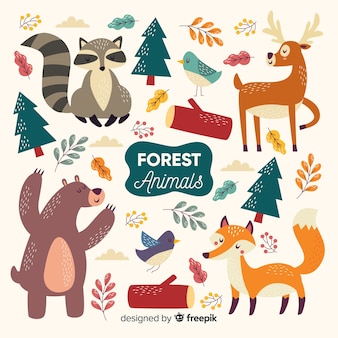 Collezione di animali della foresta disegnati a mano