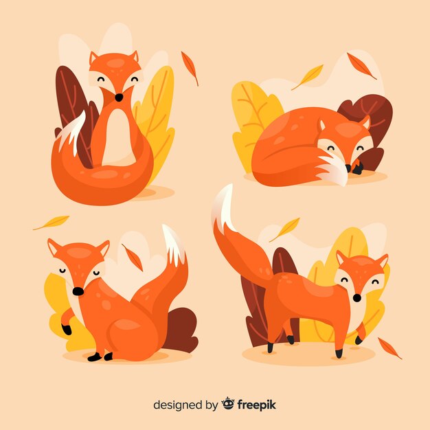 Free Vector collection of hand drawn fox