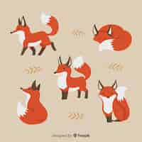 Free vector collection of hand drawn fox