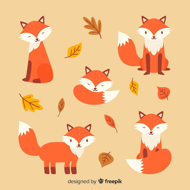 Collection of hand drawn foxes