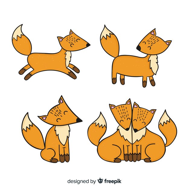 Collection of hand drawn foxes