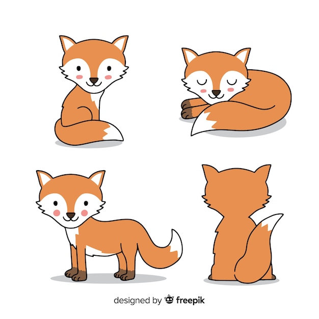 Collection of hand drawn foxes