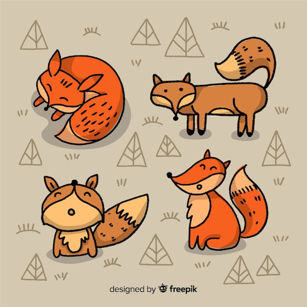 Free vector collection of hand drawn foxes