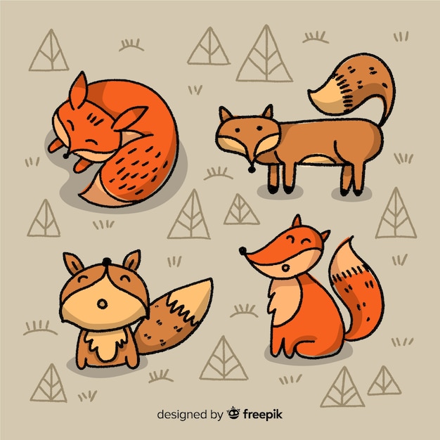Collection of hand drawn foxes