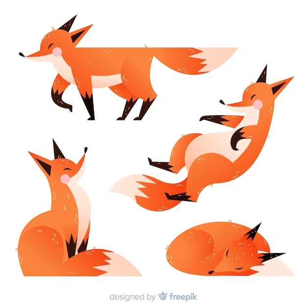 Collection of hand drawn foxes