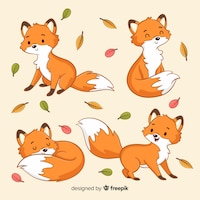 Collection of hand drawn foxes