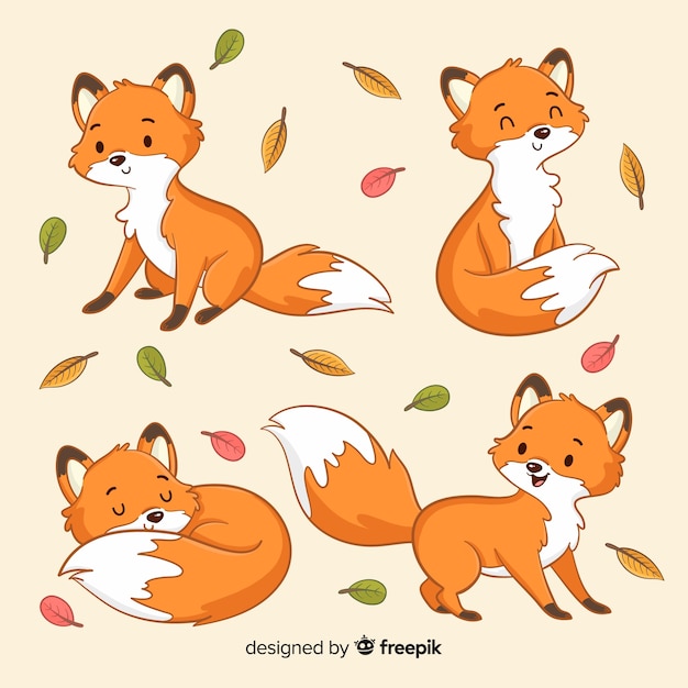 Free Vector collection of hand drawn foxes